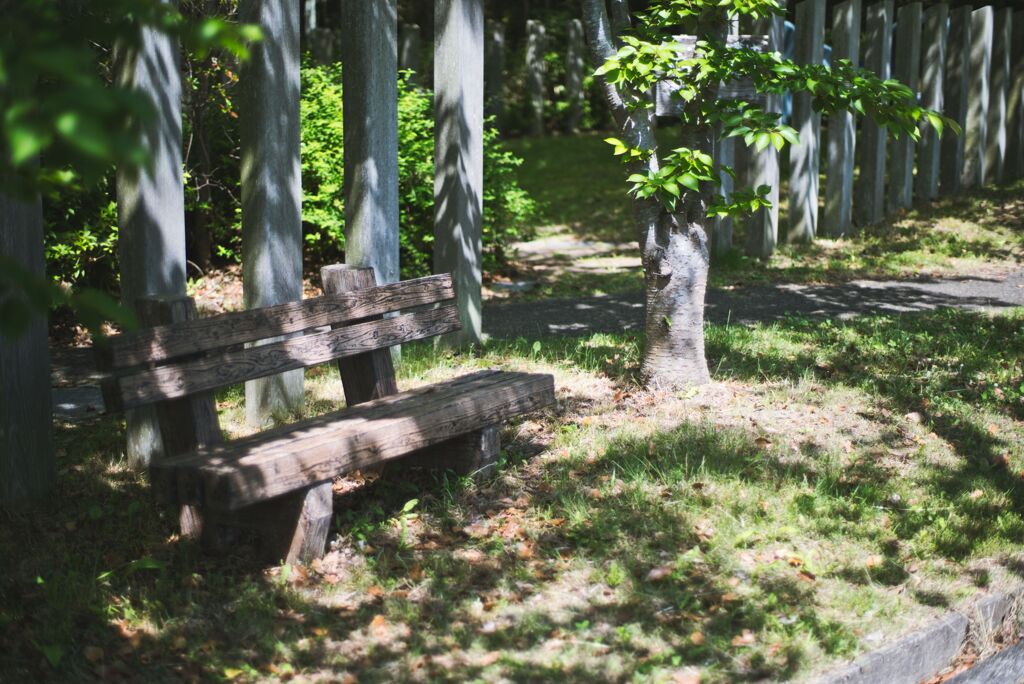 公園（2020年5月）　6