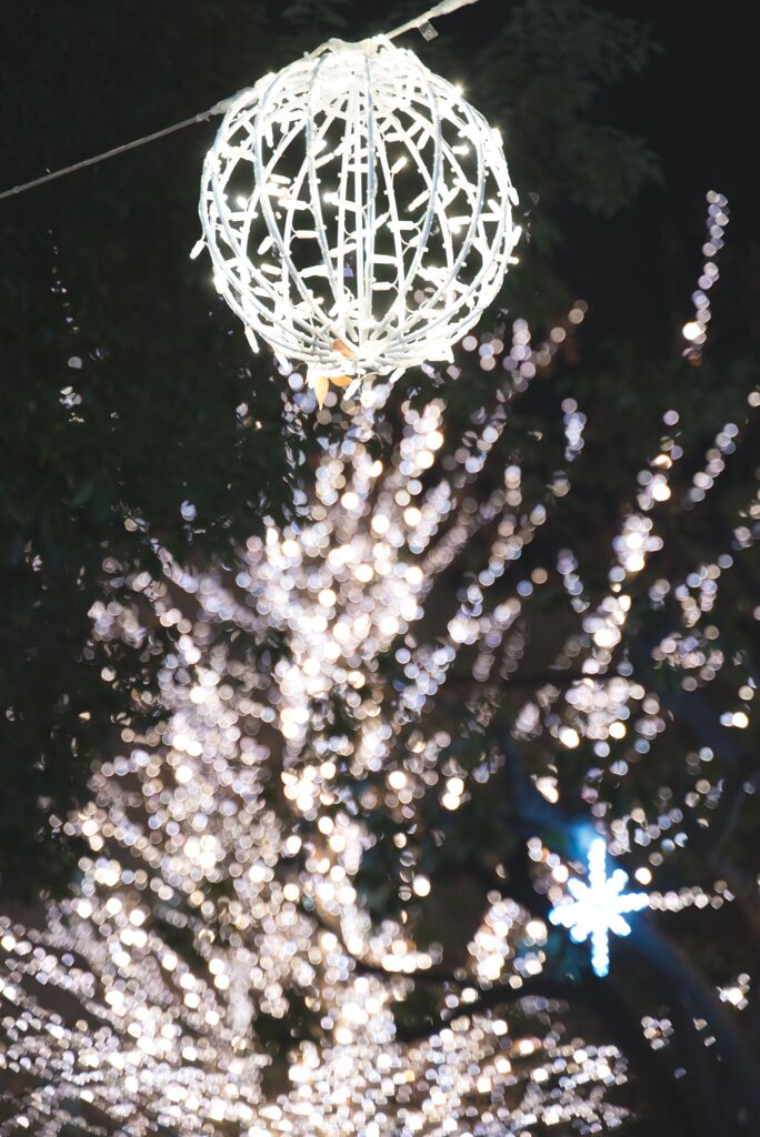 京都　ローム　イルミネーション（2019年12月）③