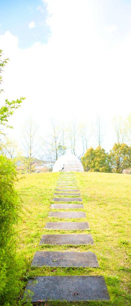 公園（2020年4月）　1