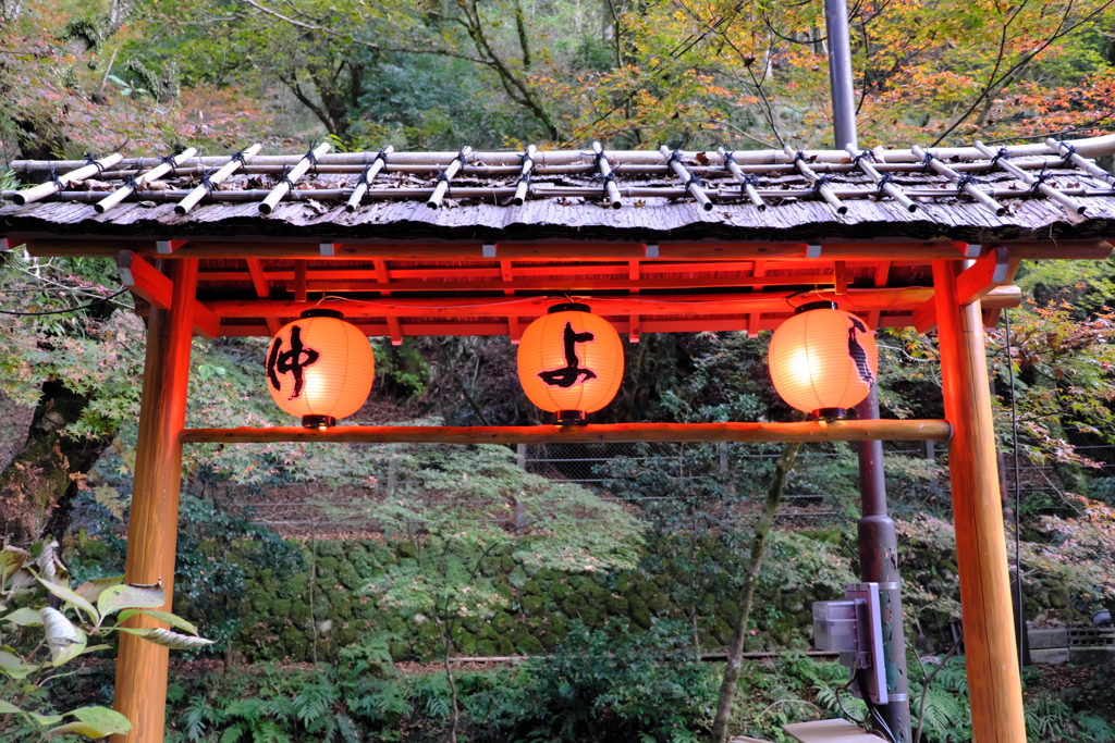 鞍馬（2019年11月）　1
