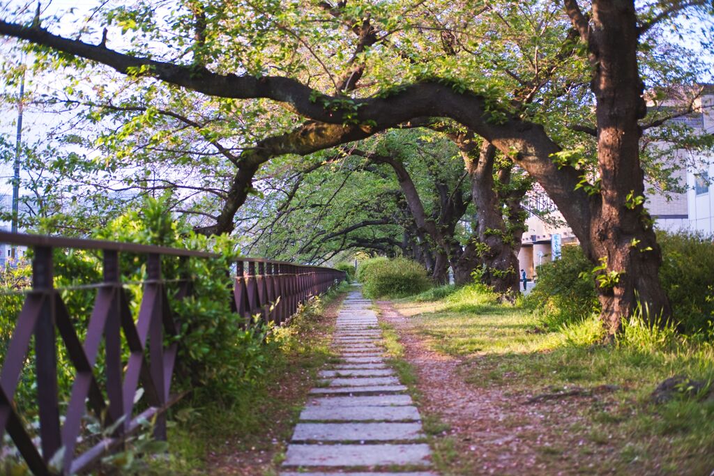 天神川（2020年4月）