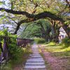 天神川（2020年4月）