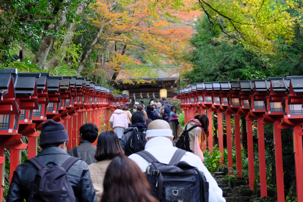 貴船神社（2019年11月）　5