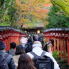 貴船神社（2019年11月）　5