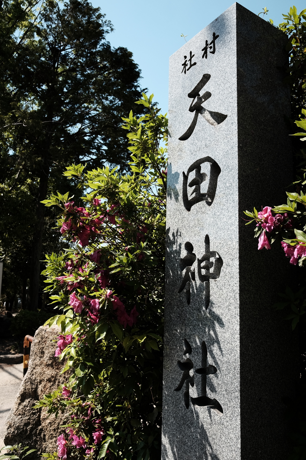 天田神社 3