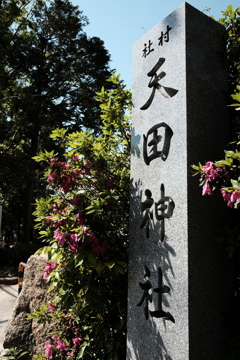 天田神社 3