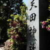 天田神社 3