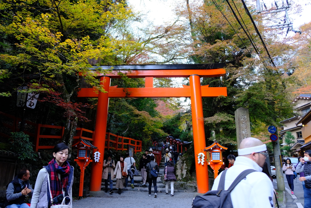 貴船神社（2019年11月）　4