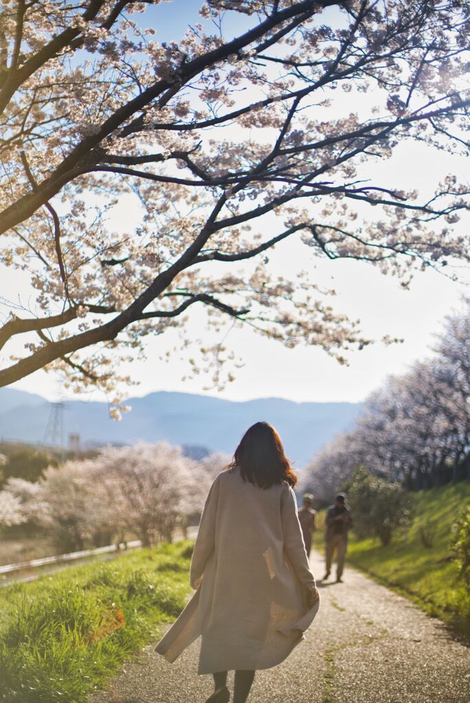 花見（2020年4月）