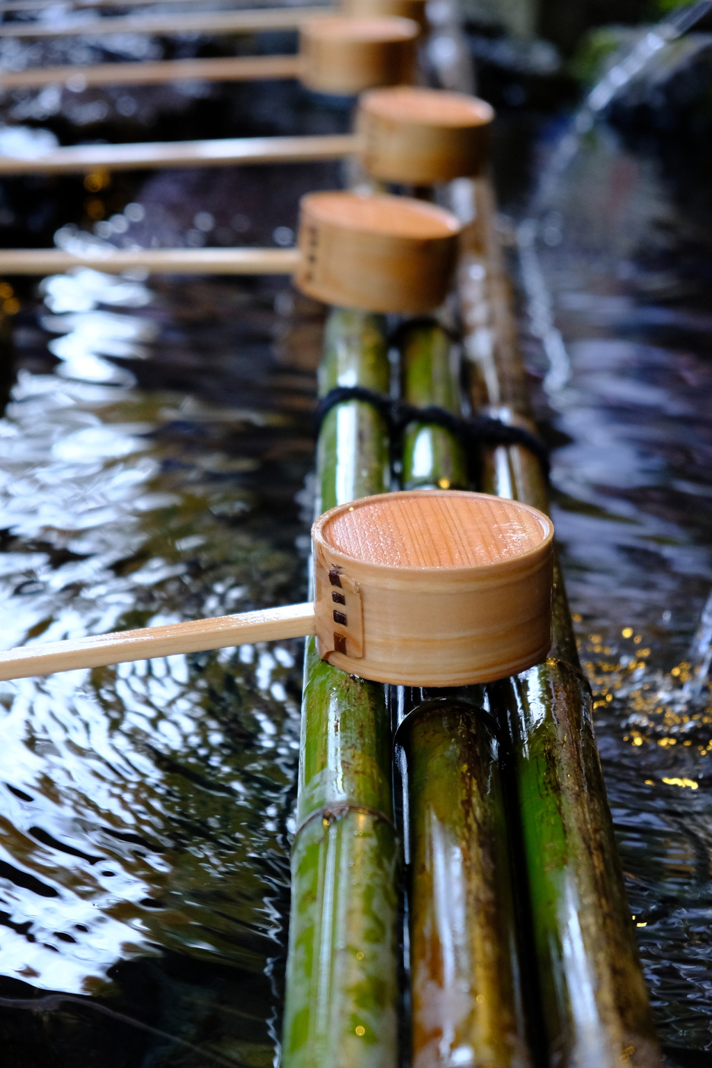 貴船神社（2019年11月）　1