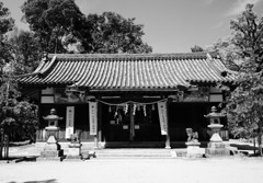 天田神社 1