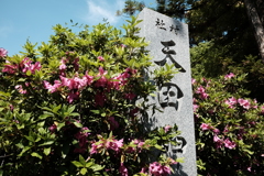 天田神社 2