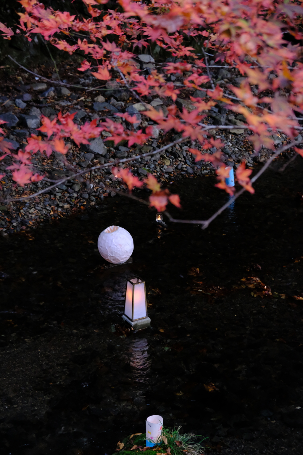 鞍馬（2019年11月）　5