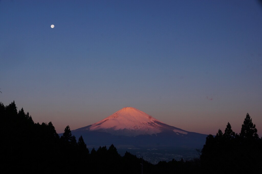 久しぶりのご対面