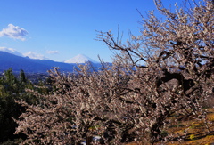 曽我農道から①