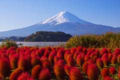 懐かしい秋の風景