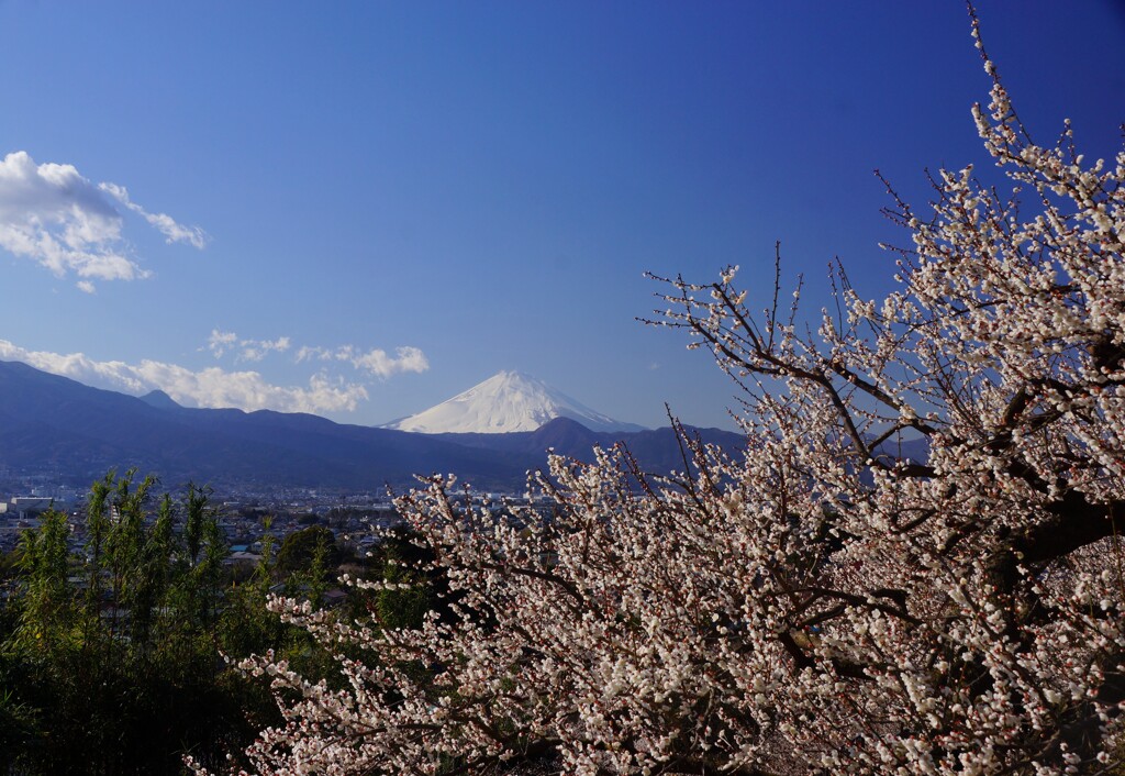 曽我農道から②
