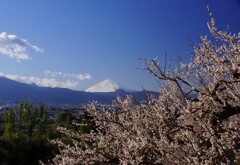 曽我農道から②