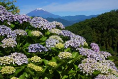 おおいゆめの里①