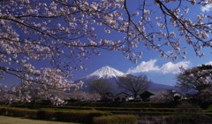 潤井川