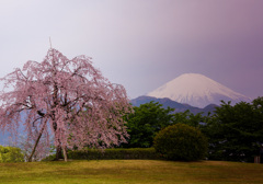 花曇り②