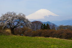 篠窪より②