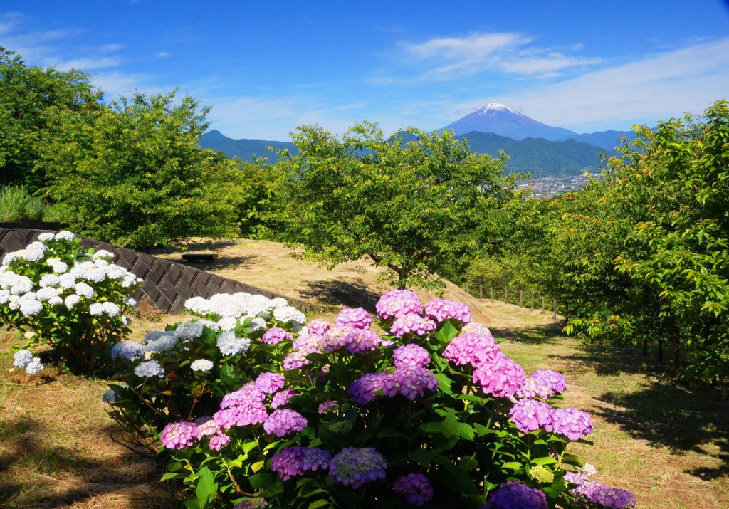 おおいゆめの里②