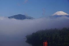 芦ノ湖を望む①