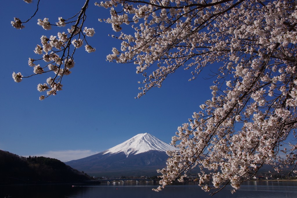 河口湖湖畔②
