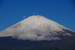 新冠雪②