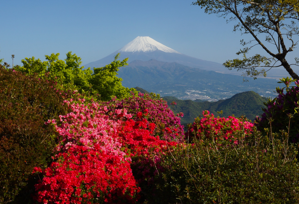 お山から③
