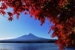 河口湖の紅葉