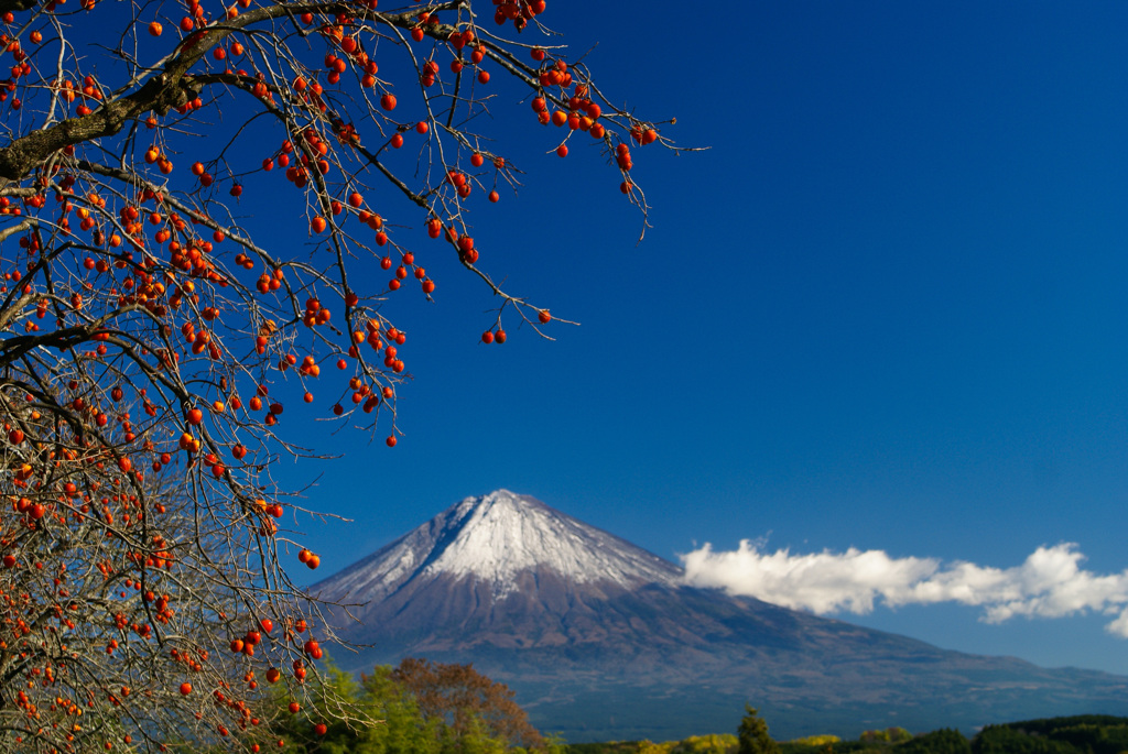 過去の秋景色①