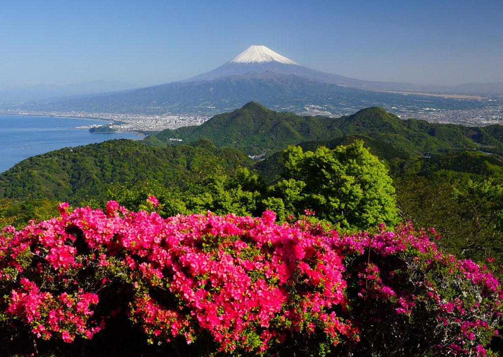 お山から④