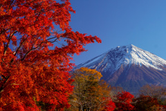 積雪の富士山①