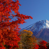 積雪の富士山①