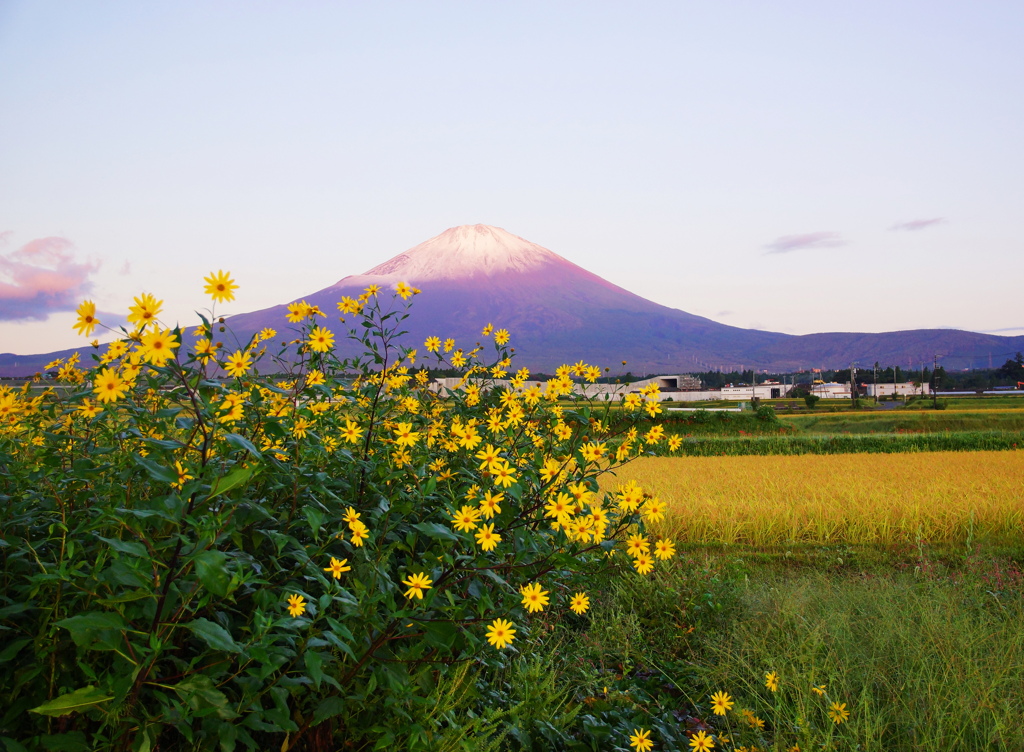 お山も薄化粧①