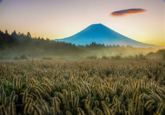 過去の秋景色②