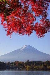 河口湖の紅葉①