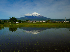 田園風景①
