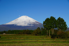 新冠雪③