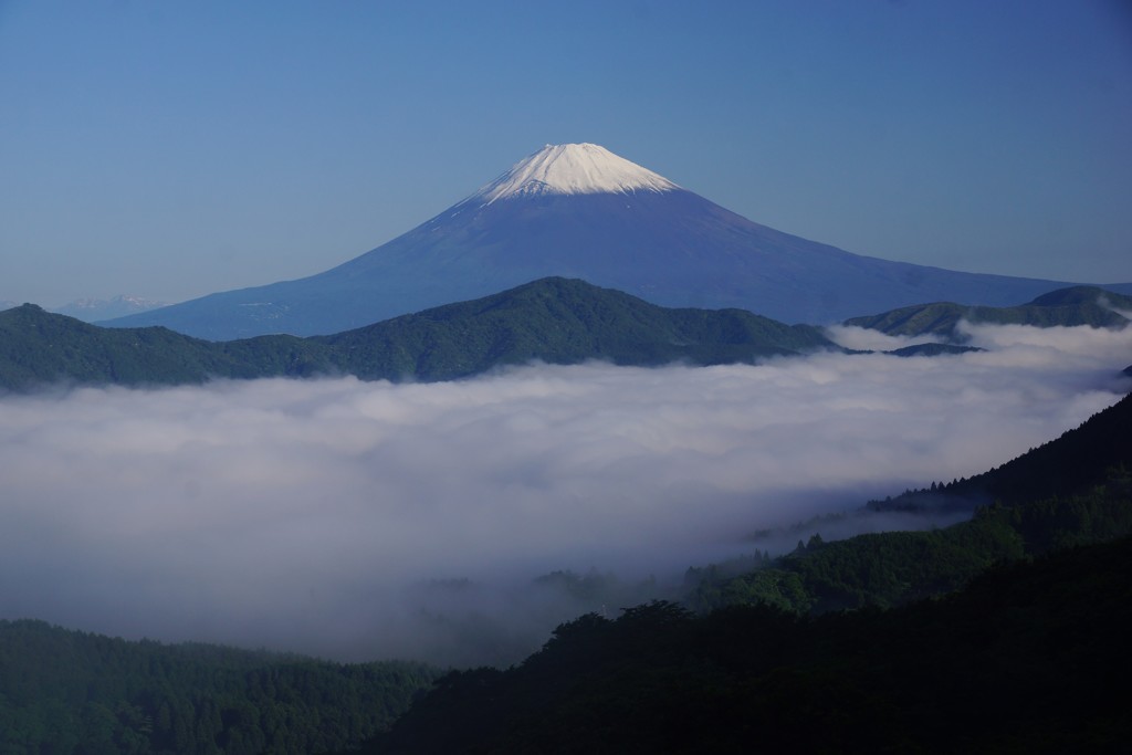 台観山②