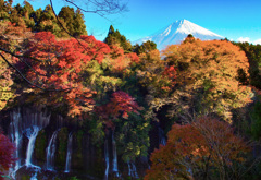 過去の秋景色②