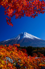 積雪の富士山②