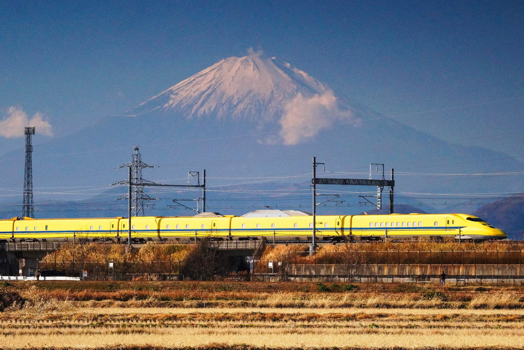 今年最後のイエロー