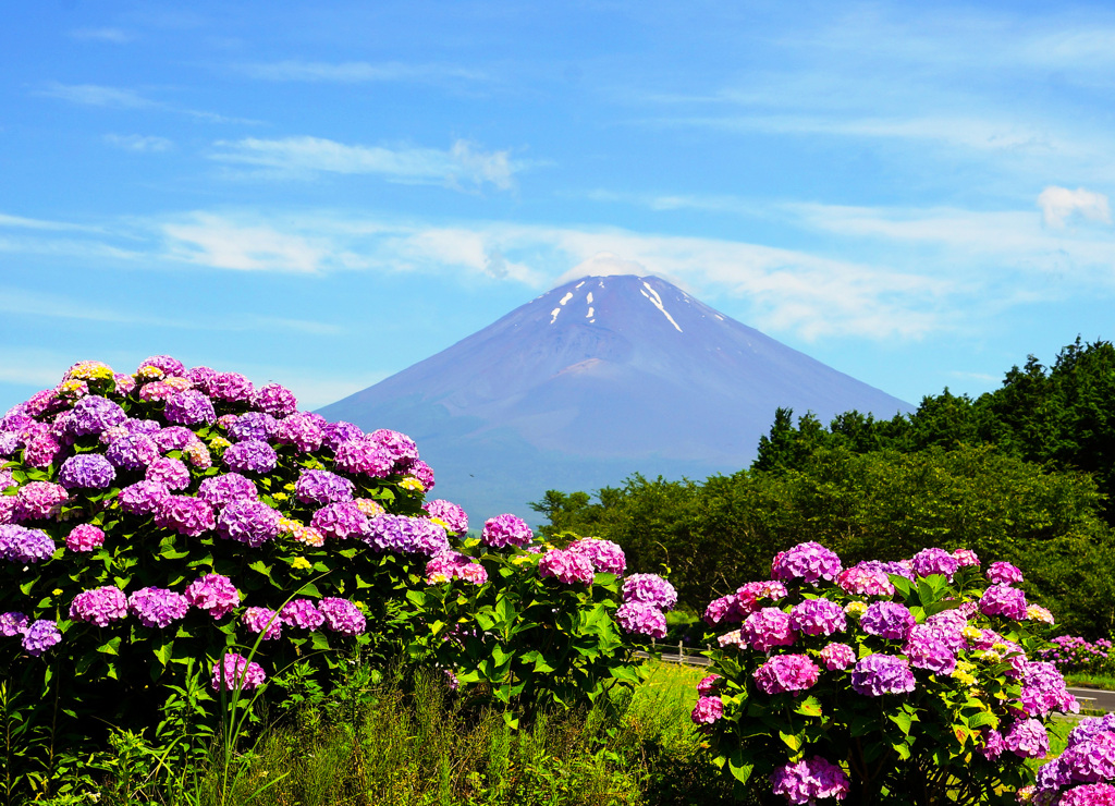 久しぶりの朝活⑤