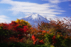 農村公園