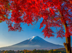 河口湖紅葉のころ②