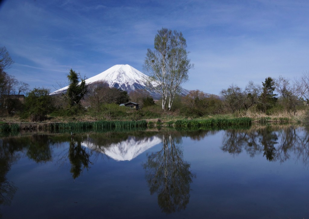 池に映る富士山