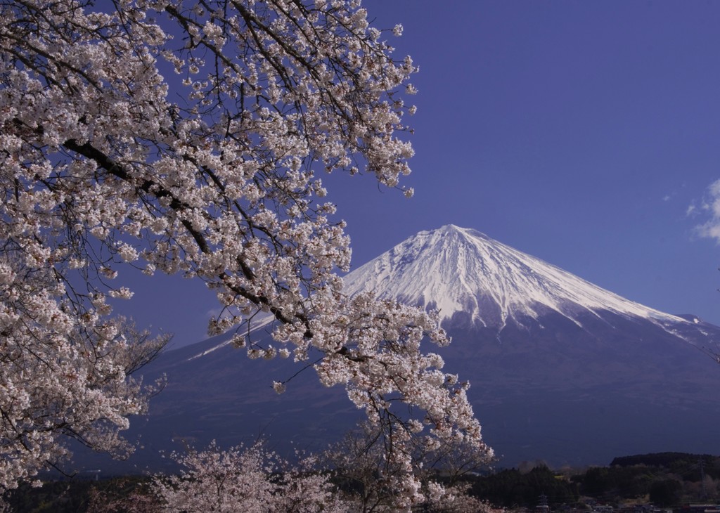 興徳寺②